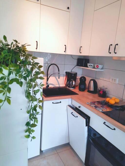 Apartman Nane Σολίν Εξωτερικό φωτογραφία