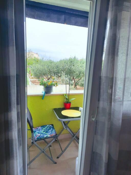 Apartman Nane Σολίν Εξωτερικό φωτογραφία