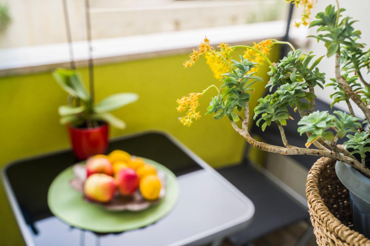 Apartman Nane Σολίν Εξωτερικό φωτογραφία